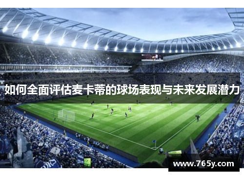 如何全面评估麦卡蒂的球场表现与未来发展潜力
