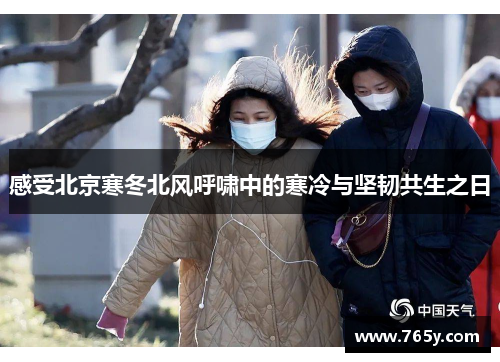 感受北京寒冬北风呼啸中的寒冷与坚韧共生之日