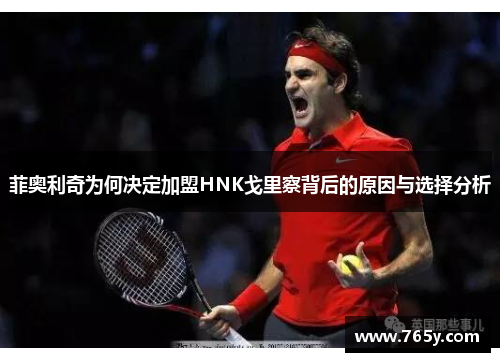 菲奥利奇为何决定加盟HNK戈里察背后的原因与选择分析 菲奥利奇为何决定加盟HNK戈里察背后的原因与选择分析